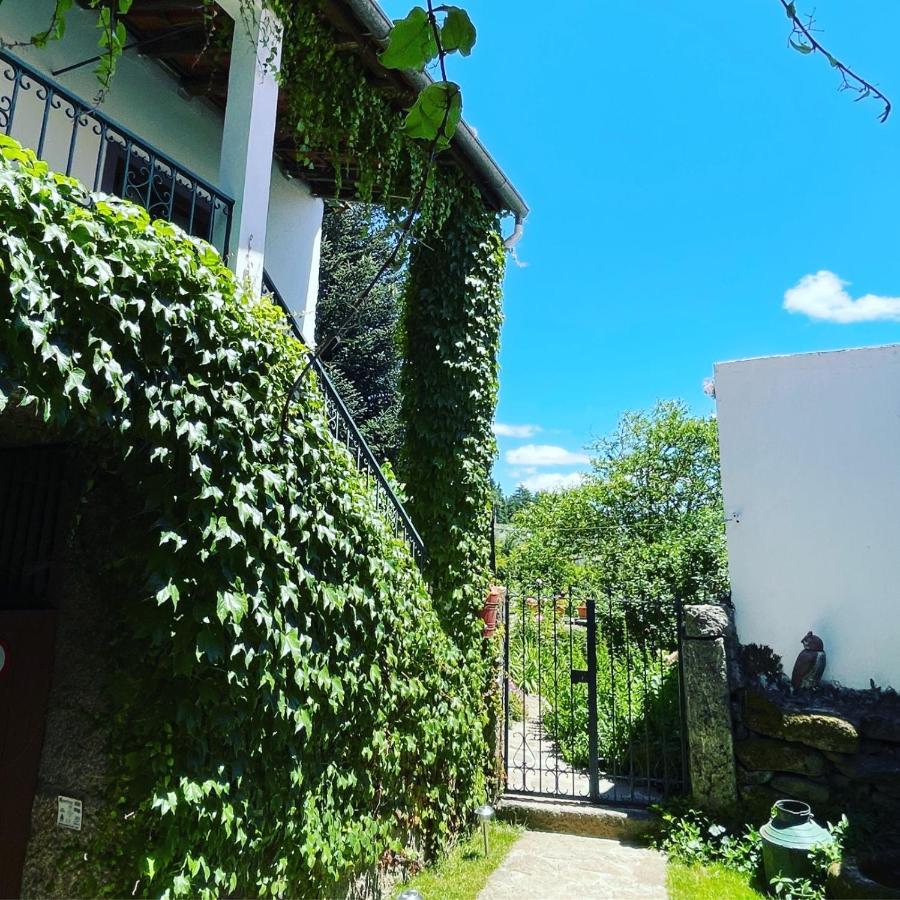 Casa Do Beco B&B Douro - Guest House Parambos Esterno foto